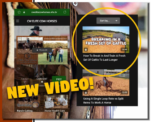 cw_elite_cow_horses001009.jpg