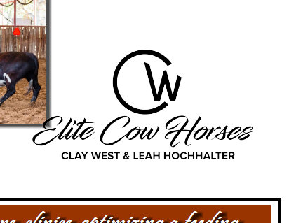 cw_elite_cow_horses001016.jpg