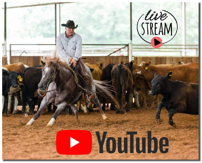 cw_elite_cow_horses001038.jpg